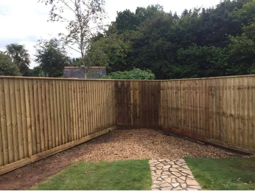 Feather edge fence panels turning the corner of a garden boundary